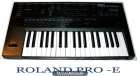 SYNTE ROLAND PRO E - mejor precio | unprecio.es