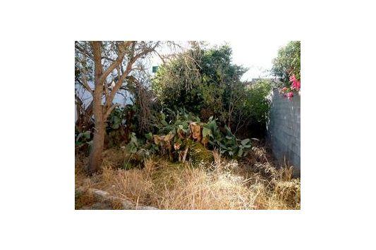Terreno y Solares En Venta en Santanyi, Mallorca