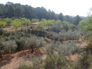 Finca/Casa Rural en venta en Corbera d'Ebre, Tarragona (Costa Dorada)