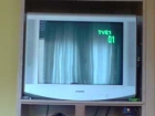 vendo TV SONY 29", oportunidad : 250 euros - León - mejor precio | unprecio.es