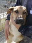 BELLA, todo el día llorando‏ - mejor precio | unprecio.es