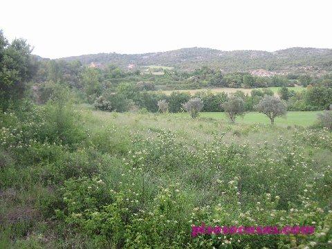 Venta de casa en Venta De Casa Con Finca De 37 Hectareas Zona De Ai, Ainsa (Huesca)