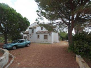 Finca/Casa Rural en venta en Elche/Elx, Alicante (Costa Blanca)