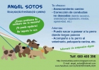 Angel Sotos Educador canino - mejor precio | unprecio.es