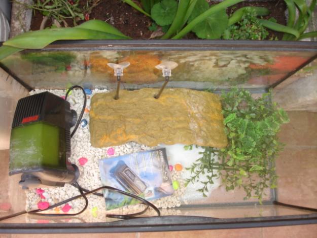 acuario o terrario sin estrenar
