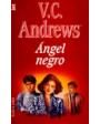 Ángel negro. Novela. ---  Plaza y Janés, 1989, Barcelona.