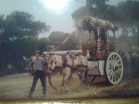 coches de caballos