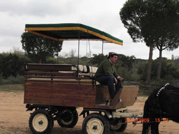 2 MULOS, 1 MULA, CARRO Y GUARNICIONES. ESPECIAL ROMERIAS.