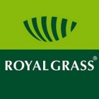 CESPED ARTIFICIAL (DISTRIBUIDOR OFICIAL ROYAGRASS EN CADIZ) - mejor precio | unprecio.es