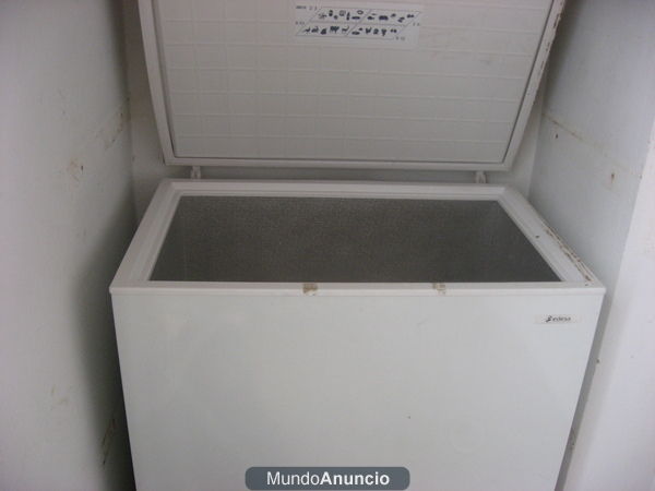 VENDO CONGELADOR Y SECADORA