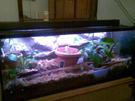 vendo acuario - terrario con accesorios