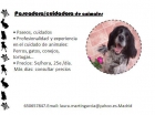 Paseadora7Cuidadora de Animales. Madrid capital - mejor precio | unprecio.es