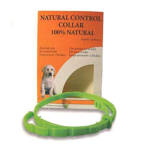 Super Oferta Cachorros