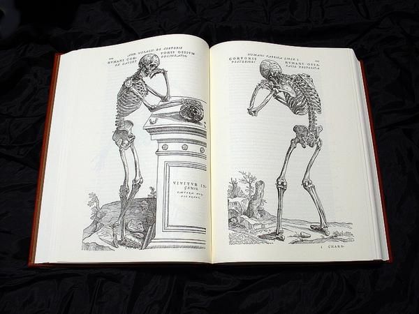 Humani Corporis Fabrica (Andreas Vesalius  Andres Vesalio)