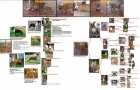 vendo tres cachorros de american staffordshire terrier - mejor precio | unprecio.es