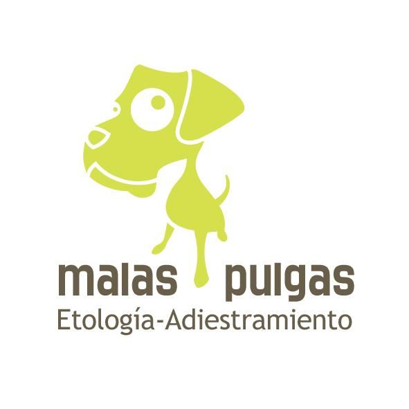 adiestramiento y educación canina