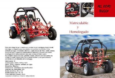 Autovaz Buggy  250cc