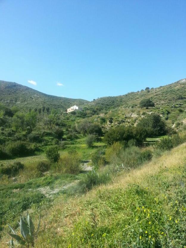 finca con manantiales de agua potable