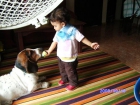 RREEGGAALLOO regalo - mejor precio | unprecio.es