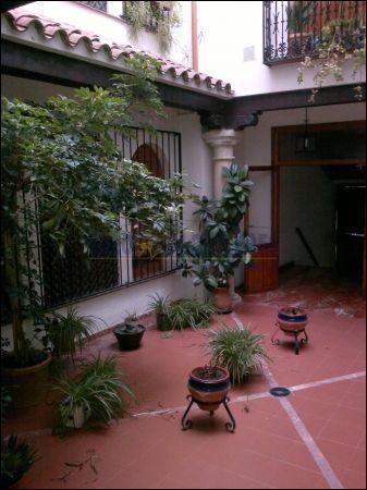 Estudio en Jaén
