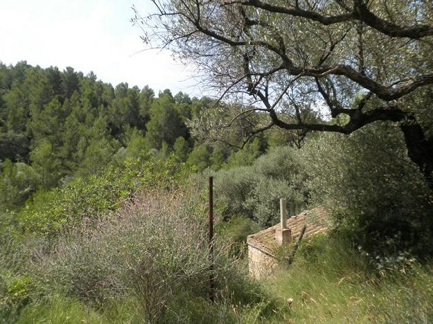 Finca rústica en Tortosa