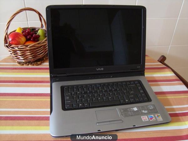 SONY VAIO VGN A290