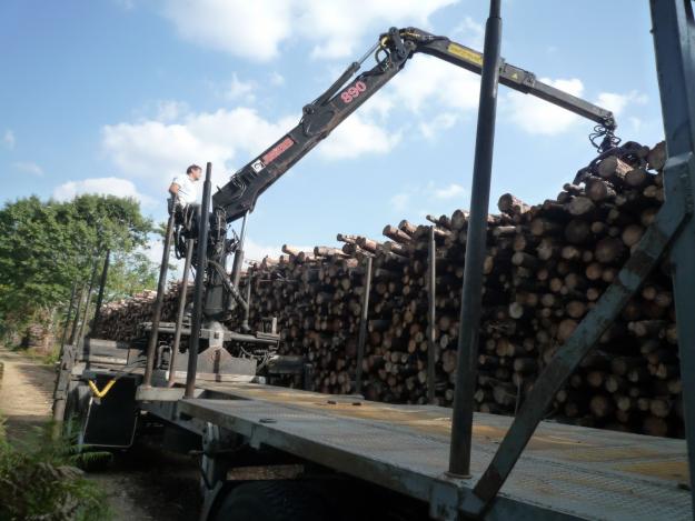 SEMIREMOLQUE FORESTAL  CON  GRUA