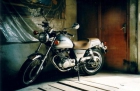 SUZUKI TU 250 X - mejor precio | unprecio.es