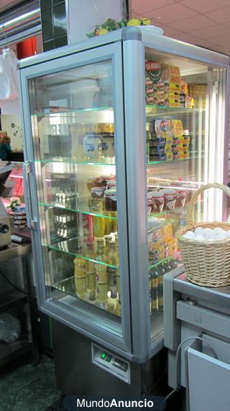 VITRINA FRIGORIFICA PRACTICAMENTE NUEVA