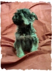 cachorros schnauzer mini sal y pimienta - mejor precio | unprecio.es