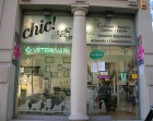 peluqueria canina especialidad en BICHON MALTES - mejor precio | unprecio.es