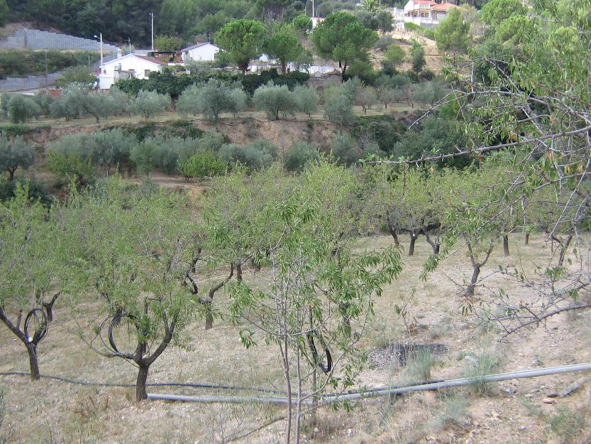 Se vende finca rustica en Olesa de Montserrat