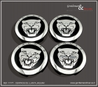 Tapa central para llantas (tapabuje) jaguar - mejor precio | unprecio.es