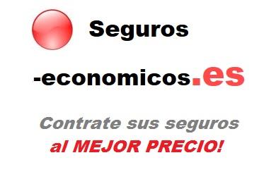 Seguros-economicos para su Comercio/Negocio