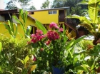 Casa rural : 2/4 personas - sainte rose  guadalupe - mejor precio | unprecio.es