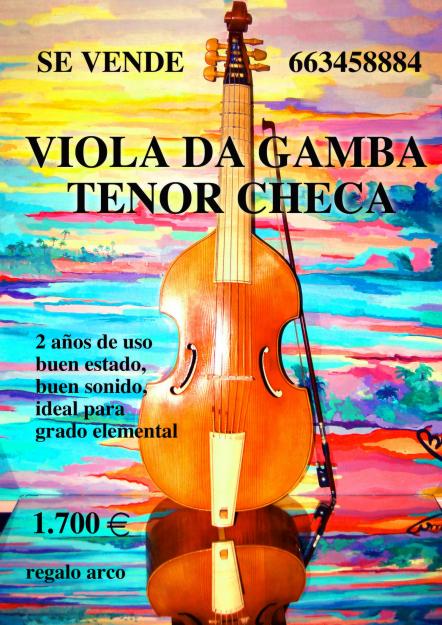 VENDO VIOLA DA GAMBA TENOR