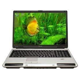 Toshiba Satellite P105-S6167 17