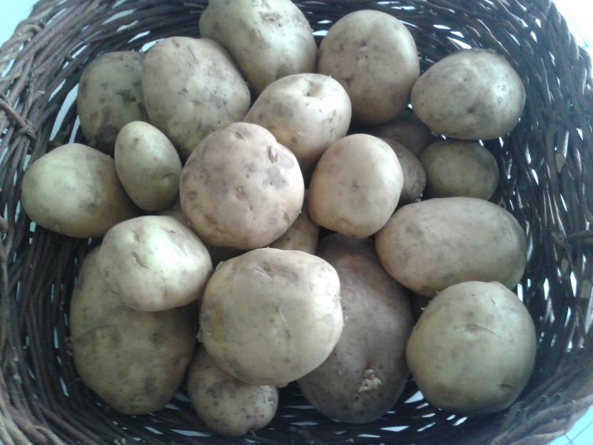 Patatas de malpica