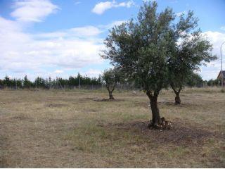 Solar/Parcela en venta en Aranjuez, Madrid