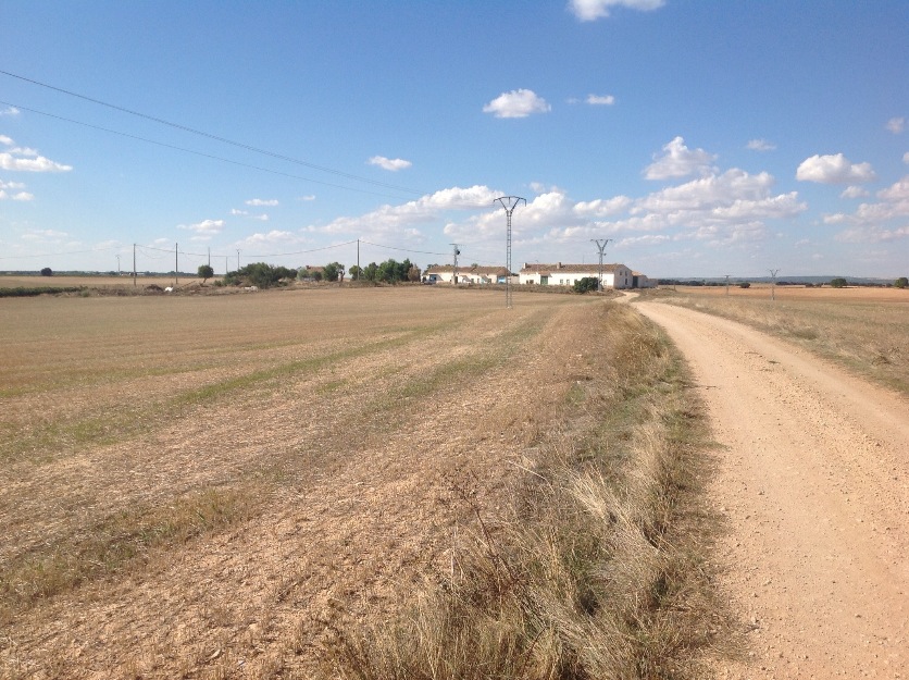 Venta o permuta finca rústica en la roda (albacete)