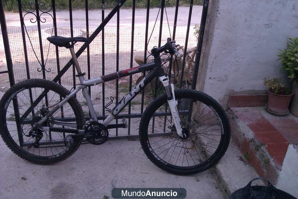 VENDO BICI GIANT XTC 850