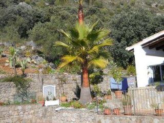 Finca/Casa Rural en venta en Gaucín, Málaga (Costa del Sol)