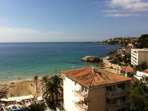 Estudio en Palma de Mallorca