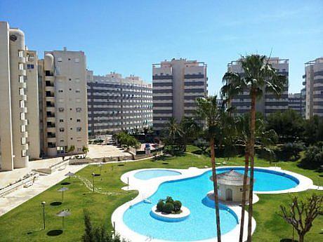 Apartamento en Campello (el)