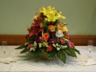 FLORES – PLANTAS – REGALOS - FLORISTERIA PANDA - mejor precio | unprecio.es