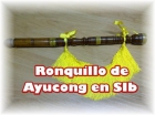 Vendo ronquillo de ayucong eucola en si bemol para gaita - mejor precio | unprecio.es