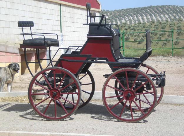 VENTA COCHE DE CABALLOS