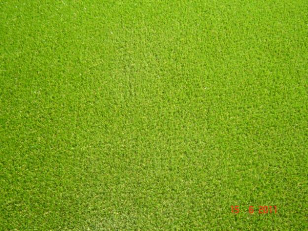 CESPED ARTIFICIAL ROYAL GRASS (OFERTA JULIO 2011)