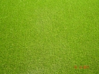CESPED ARTIFICIAL ROYAL GRASS (OFERTA JULIO 2011) - mejor precio | unprecio.es