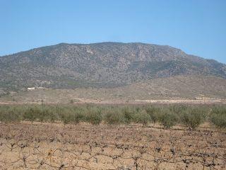 Solar/Parcela en venta en Monóvar/Monóver, Alicante (Costa Blanca)